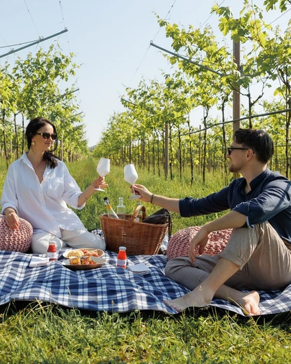 Picnic d'Autore in vigneto: l'Essenza del Lago di Garda a Lazise 2
